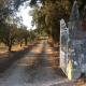 Quinta do Bravio, Barroselas (Foto 4)