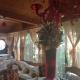 B&B Marilena affittacamere, Rocca Imperiale (foto 2)