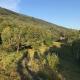 Holiday house with a parking space Zejane, Opatija - 15818, Vele Mune (foto 9)