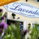Lavender - Restauracja i pokoje gościnne Nowy Tomyśl - Foto 9