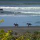 49 on Jans Beach Break