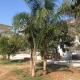 Stardust Home, Palermo - Foto 6