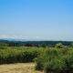 Milagra Guest House, Lopez (fotografie 3)