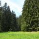 Ferienhaus Bad Hundertpfund Typ C, Grossbreitenbach - Foto 4