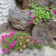 Dajayon Hanok Stay, Seoul - Photo 5