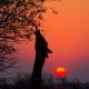 Taj Bush Lodge, Hoedspruit (fotografie 4)