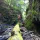 paradis sauvage geronimo, St-Etienne de Bolton (fotografie 7)