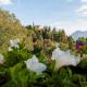 Bed &Breakfast Bellavista, San Giovanni Bianco (foto 9)