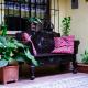 Maison Bougainvillea Antigua Guatemala - Photo 3