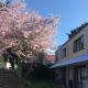 Royal Park Lodge, Auckland - Fotografie 6