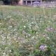 Affittacamere Les Noyers, Verrayes (photo 10)