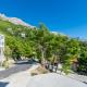 Apartments Lile, Brela