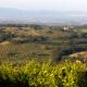 Casale Sterpeti, Magliano in Toscana (photo 5)