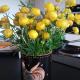 b&b krättli, Eggiwil (zdjęcie 8)