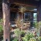 Vievan's transient house