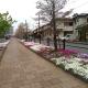 Guesthouse Shang, Toride (foto 6)