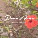 Donn'Anna B&B, Squinzano