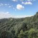 Binsar Forest Retreat, ビンザー - 写真 5