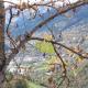 Pension Malida, Casau (foto 10)