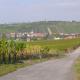 Weingut Herbert Kram, ノルトハイム - 写真 10