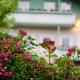Gartenhotel Salzach, ブルクハウゼン - 写真 8