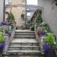 Rosehill Guest House, Pitlochry (fotografie 8)