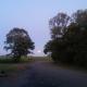 Het Friese Landschap