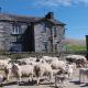 Ullathorns Farm, Kirkby Lonsdale