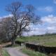 Ullathorns Farm, Kirkby Lonsdale (fotografie 5)