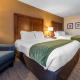 Comfort Inn & Suites Erie - Splash Lagoon Indoor Waterpark, Erie (fotografie 5)