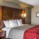 Comfort Inn & Suites Knoxville West - Fotografie 10
