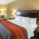 Comfort Inn & Suites Regional Medical Center, Abilene (foto 9)