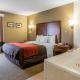 Comfort Inn & Suites Dalton West - Fotografie 8