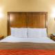 Comfort Inn & Suites Dalton West - Fotografie 4