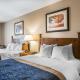 Comfort Inn & Suites Blue Ridge - Fotografie 3