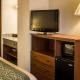 Comfort Inn & Suites Dimondale - Lansing, Dimondale (fotografie 2)