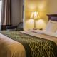 Comfort Inn & Suites Dimondale - Lansing, Dimondale (fotografie 3)
