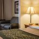Comfort Inn & Suites Dimondale - Lansing, Dimondale (fotografie 5)