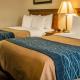 Comfort Inn & Suites Dimondale - Lansing, Dimondale (fotografie 6)