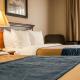 Comfort Inn & Suites Dimondale - Lansing, Dimondale (fotografie 7)