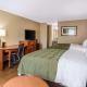 Quality Inn & Suites University Area Charlotte - Fotografie 6