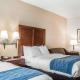 Comfort Inn & Suites Hamburg - Buffalo South, Hamburg