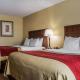 Comfort Inn & Suites Farmington - Victor, Farmington (foto 7)