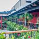 Hotel Panchoy by AHS, Antigua Guatemala - Foto 7