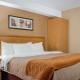 Comfort Inn, Charlottetown (photo 4)