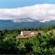 AU PIED DU VENTOUX, Flassan (fotografie 3)