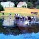 Engelsholm Bed & Breakfast