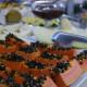 Hotel Village Campinas, カンピーナス - 写真 4