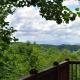 Dogwood Overlook, Mineral Bluff (фото 7)