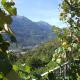 Le Rocher, Châtillon (foto 6)